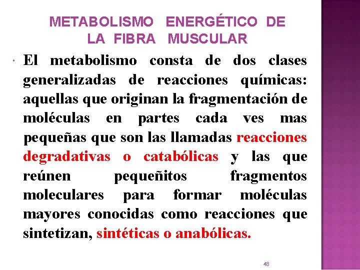 METABOLISMO ENERGÉTICO DE LA FIBRA MUSCULAR El metabolismo consta de dos clases generalizadas de