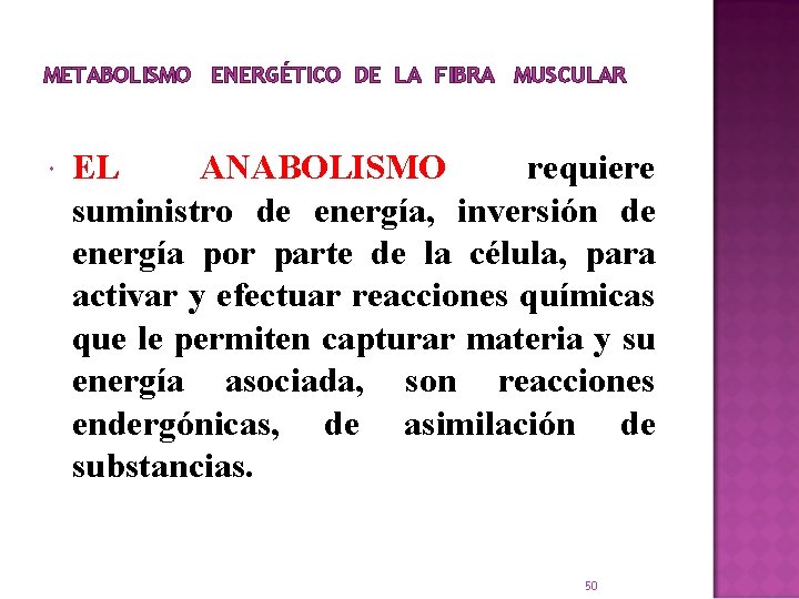 METABOLISMO ENERGÉTICO DE LA FIBRA MUSCULAR EL ANABOLISMO requiere suministro de energía, inversión de