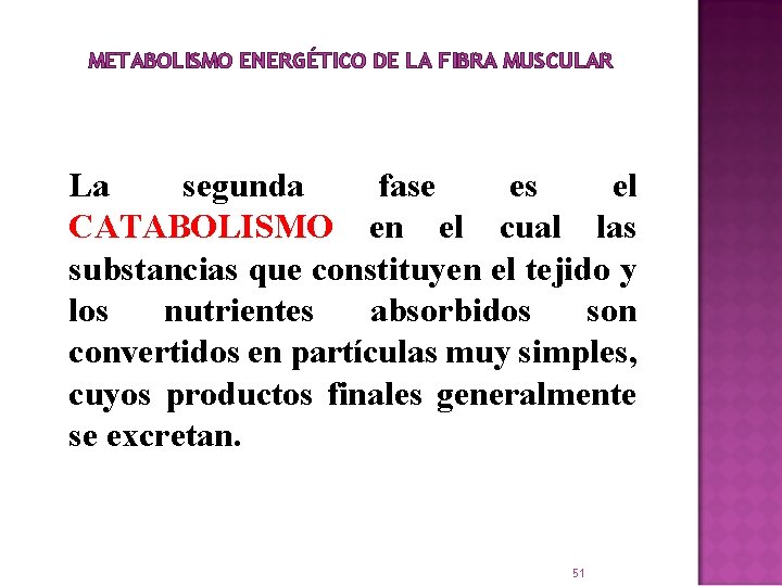 METABOLISMO ENERGÉTICO DE LA FIBRA MUSCULAR La segunda fase es el CATABOLISMO en el