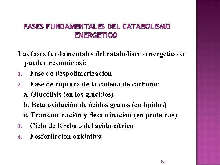 FASES FUNDAMENTALES DEL CATABOLISMO ENERGETICO Las fases fundamentales del catabolismo energético se pueden resumir