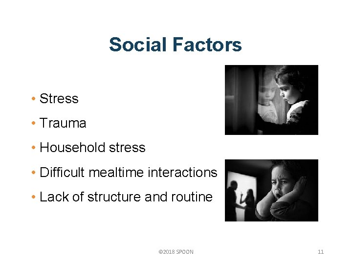 Social Factors • Stress • Trauma • Household stress • Difficult mealtime interactions •