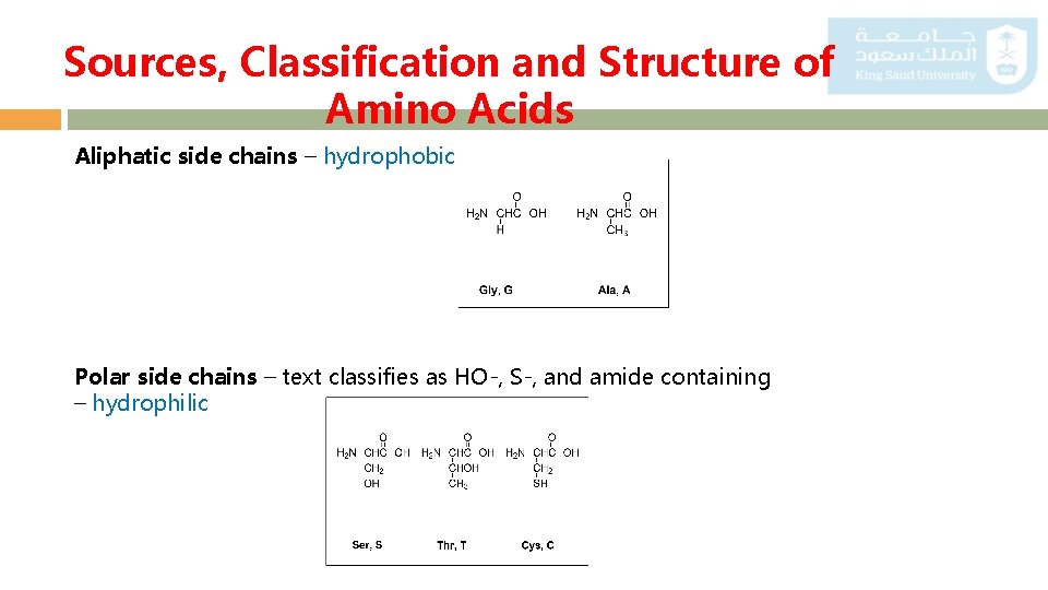 Sources, Classification and Structure of Amino Acids Aliphatic side chains – hydrophobic Polar side