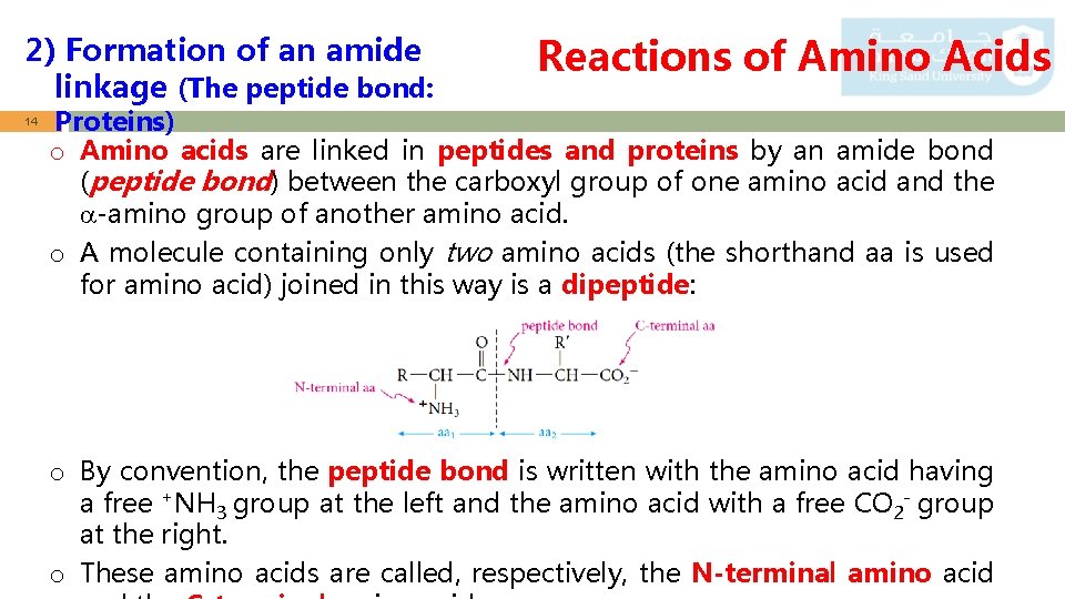 2) Formation of an amide linkage (The peptide bond: 14 Reactions of Amino Acids