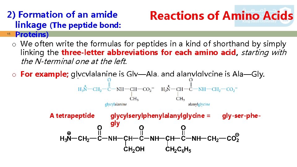 2) Formation of an amide linkage (The peptide bond: 15 Reactions of Amino Acids