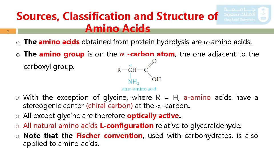 3 Sources, Classification and Structure of Amino Acids o The amino acids obtained from