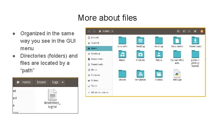 More about files ● Organized in the same way you see in the GUI
