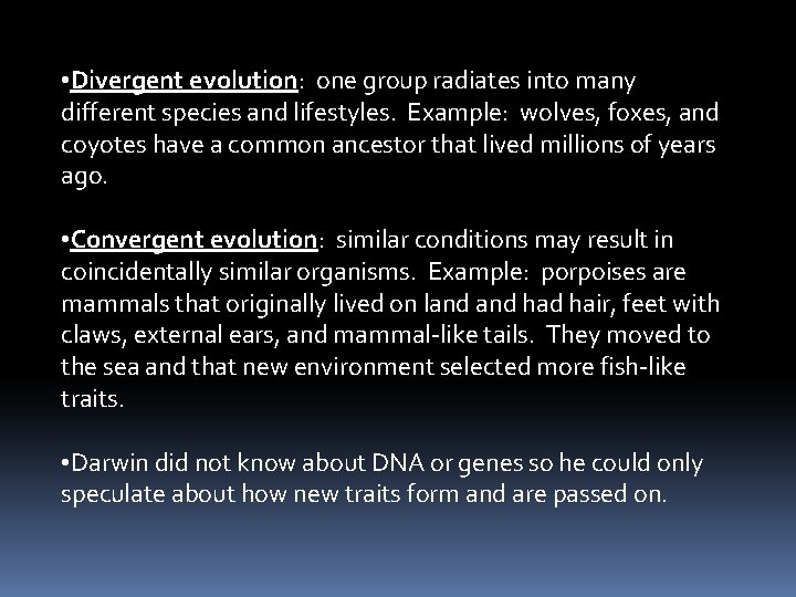  • Divergent evolution: one group radiates into many different species and lifestyles. Example: