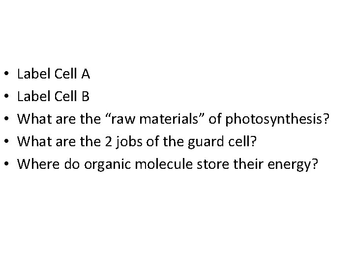  • • • Label Cell A Label Cell B What are the “raw