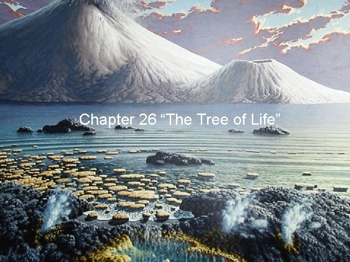 Chapter 26 “The Tree of Life” “ The Tree of Life” 