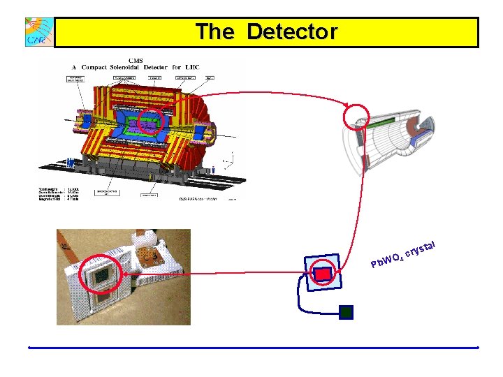 The Detector al ryst c O 4 Pb. W 