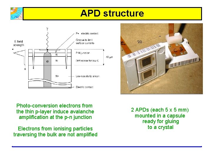 APD structure Photo-conversion electrons from the thin p-layer induce avalanche amplification at the p-n