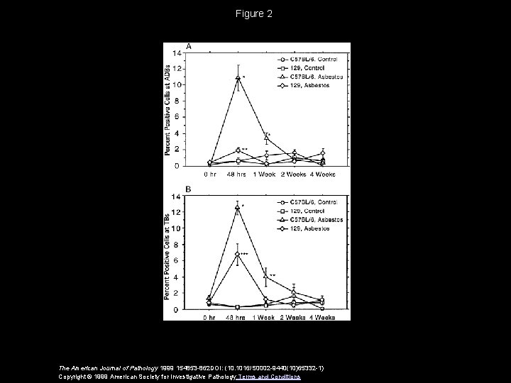 Figure 2 The American Journal of Pathology 1999 154853 -862 DOI: (10. 1016/S 0002