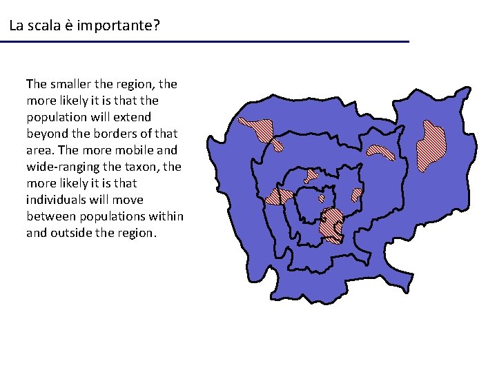 La scala è importante? The smaller the region, the more likely it is that