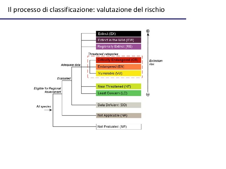 Il processo di classificazione: valutazione del rischio 