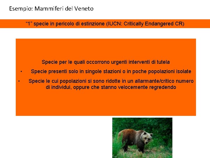 Esempio: Mammiferi del Veneto “ 1” specie in pericolo di estinzione (IUCN: Critically Endangered