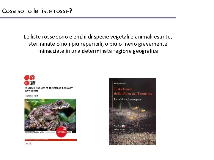 Cosa sono le liste rosse? Le liste rosse sono elenchi di specie vegetali e