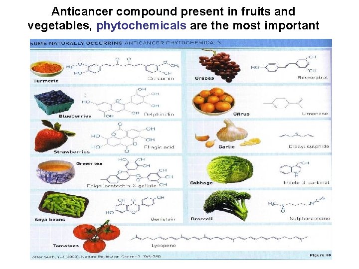 Anticancer compound present in fruits and vegetables, phytochemicals are the most important 
