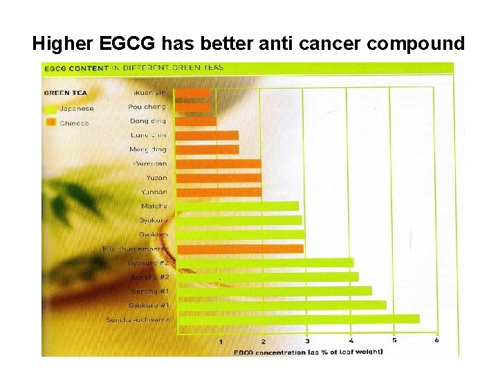 Higher EGCG has better anti cancer compound 