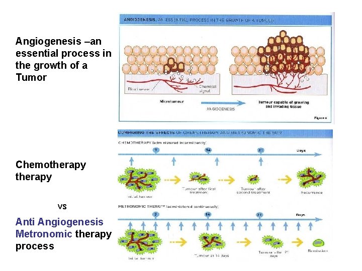 Angiogenesis –an essential process in the growth of a Tumor Chemotherapy vs Anti Angiogenesis