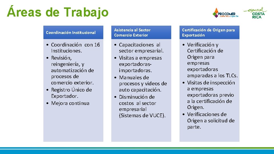 Áreas de Trabajo Coordinación Institucional • Coordinación con 16 Instituciones. • Revisión, reingeniería, y Áreas de Trabajo Coordinación Institucional • Coordinación con 16 Instituciones. • Revisión, reingeniería, y