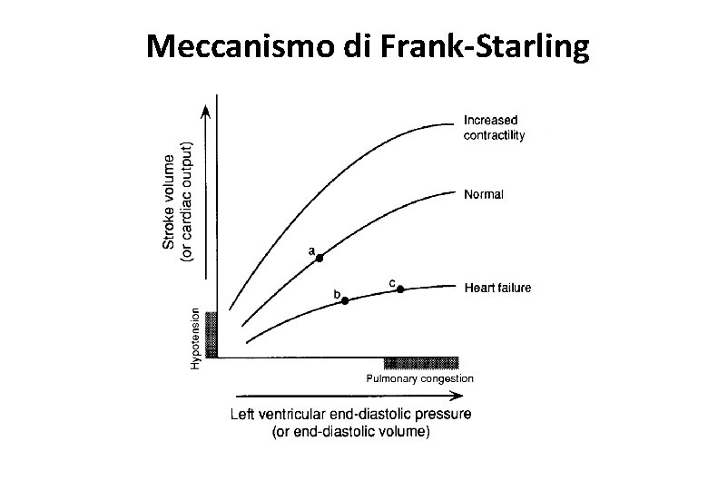 Meccanismo di Frank-Starling 
