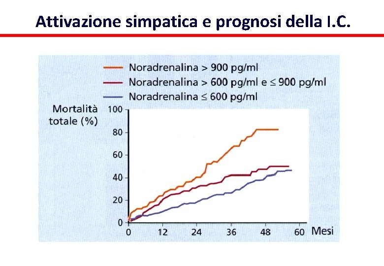 Attivazione simpatica e prognosi della I. C. 