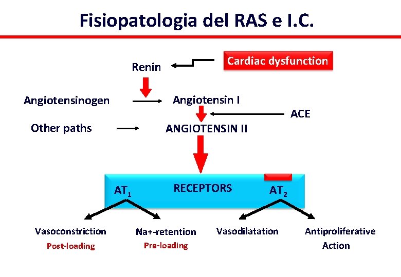 Fisiopatologia del RAS e I. C. Cardiac dysfunction Renin Angiotensin I Angiotensinogen Other paths