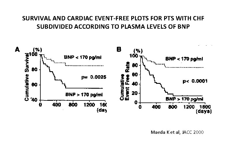 SURVIVAL AND CARDIAC EVENT-FREE PLOTS FOR PTS WITH CHF SUBDIVIDED ACCORDING TO PLASMA LEVELS
