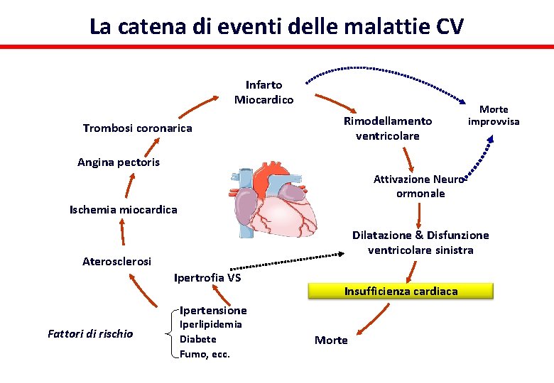 La catena di eventi delle malattie CV Infarto Miocardico Trombosi coronarica Rimodellamento ventricolare Morte