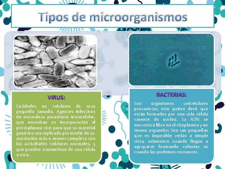 Tipos de microorganismos Entidades no celulares de muy pequeño tamaño. Agentes infectivos de naturaleza