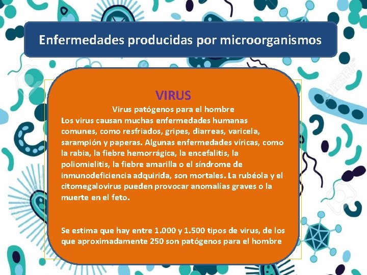 Enfermedades producidas por microorganismos VIRUS Virus patógenos para el hombre Los virus causan muchas