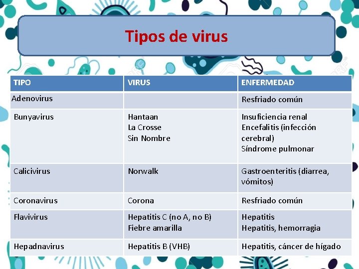 Tipos de virus TIPO VIRUS Adenovirus ENFERMEDAD Resfriado común Bunyavirus Hantaan La Crosse Sin