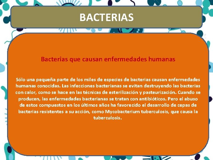 BACTERIAS Bacterias que causan enfermedades humanas Sólo una pequeña parte de los miles de