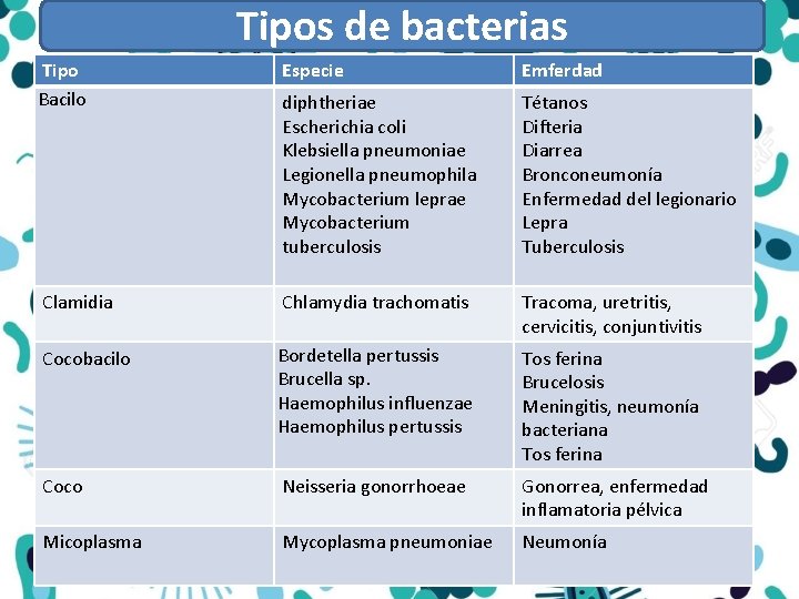 Tipos de bacterias Tipo Bacilo Especie Emferdad diphtheriae Escherichia coli Klebsiella pneumoniae Legionella pneumophila