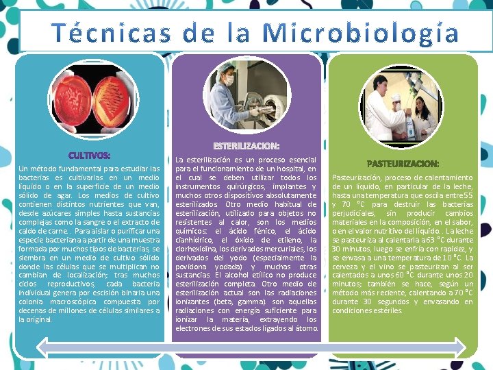 ESTERILIZACION: Un método fundamental para estudiar las bacterias es cultivarlas en un medio líquido