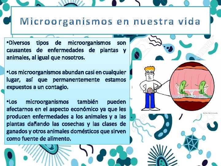  • Diversos tipos de microorganismos son causantes de enfermedades de plantas y animales,