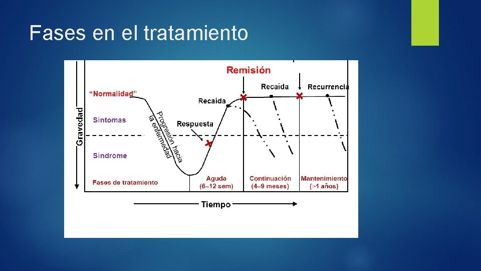 Fases en el tratamiento 