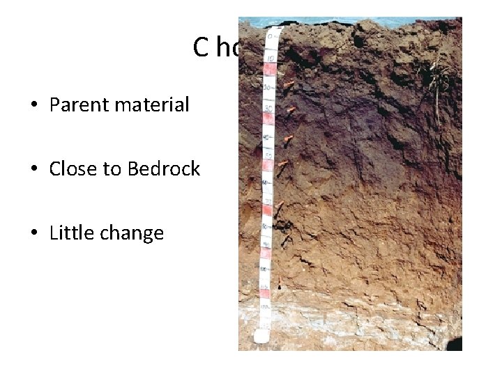 C horizon • Parent material • Close to Bedrock • Little change 