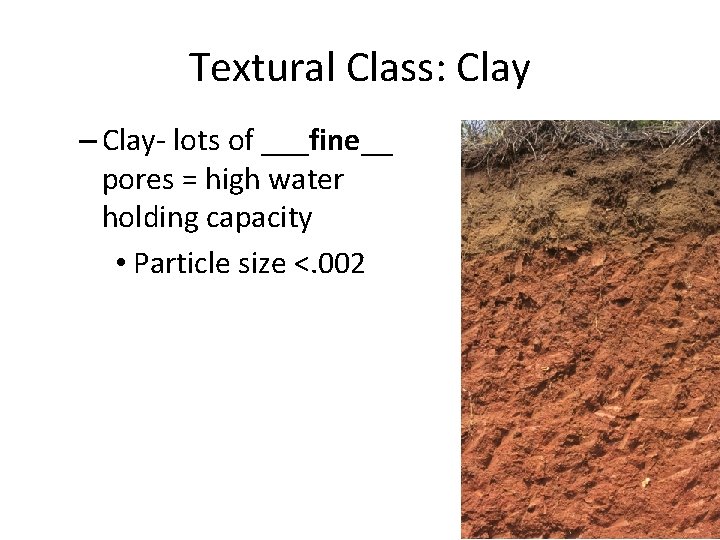 Textural Class: Clay – Clay- lots of ___fine__ pores = high water holding capacity
