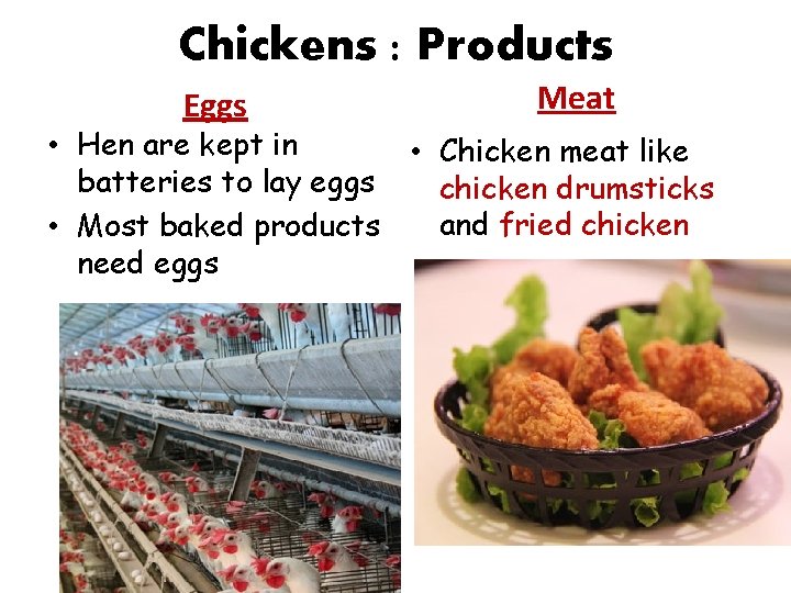 Chickens : Products Eggs Meat • Hen are kept in • Chicken meat like