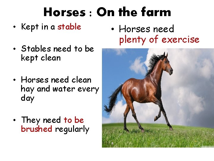 Horses : On the farm • Kept in a stable • Stables need to Horses : On the farm • Kept in a stable • Stables need to