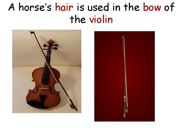 A horse’s hair is used in the bow of the violin A horse’s hair is used in the bow of the violin