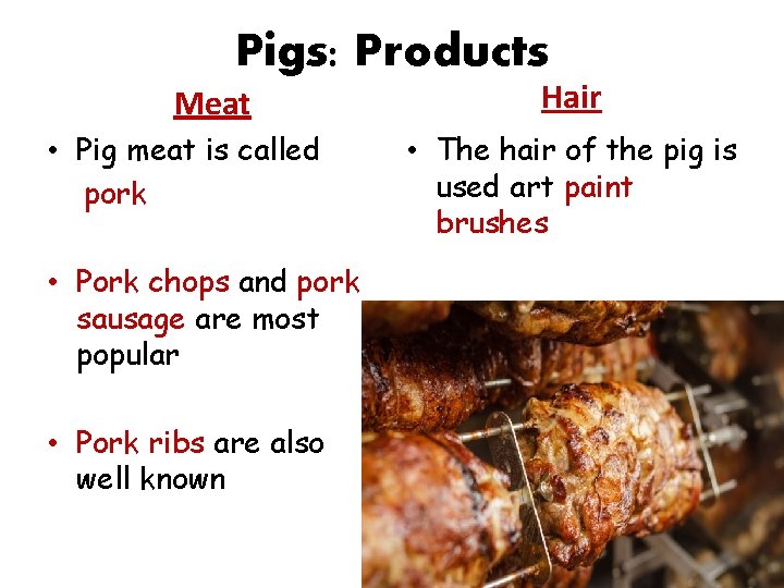 Pigs: Products Meat • Pig meat is called pork • Pork chops and pork Pigs: Products Meat • Pig meat is called pork • Pork chops and pork