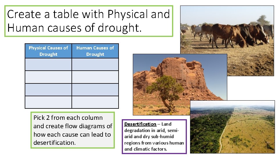 Create a table with Physical and Human causes of drought. Physical Causes of Drought