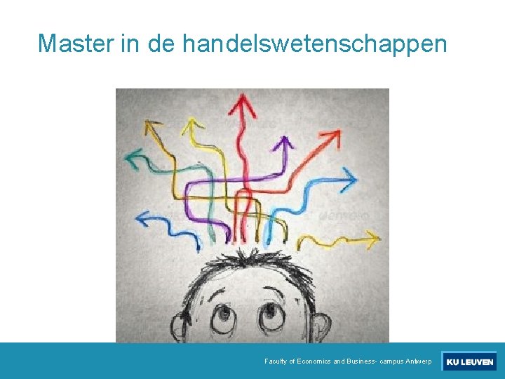 Master in de handelswetenschappen Faculty of Economics and Business- campus Antwerp 