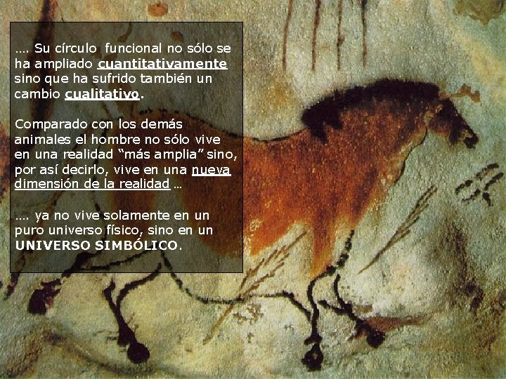 …. Su círculo funcional no sólo se ha ampliado cuantitativamente sino que ha sufrido