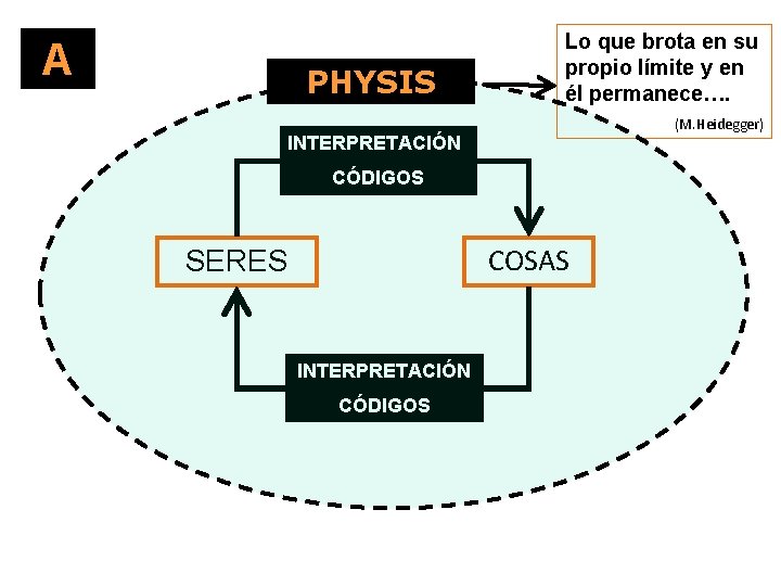 A PHYSIS Lo que brota en su propio límite y en él permanece…. (M.