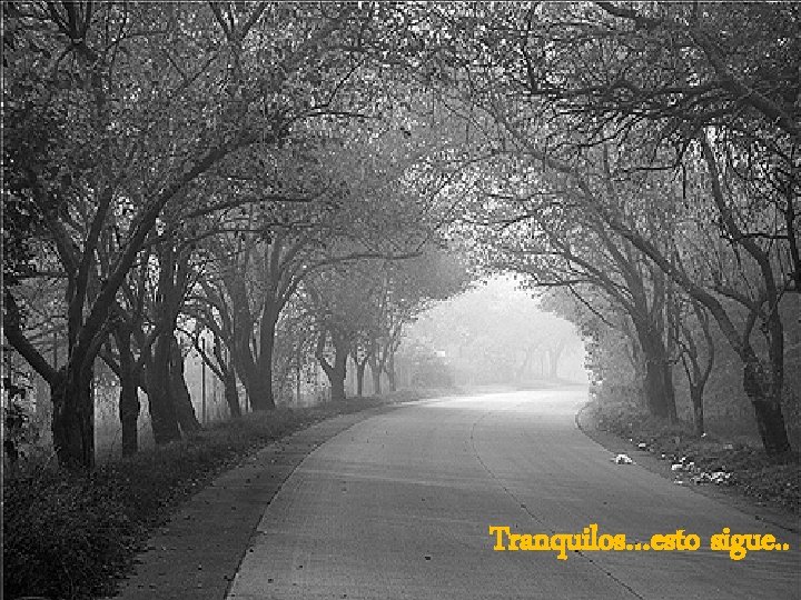 Tranquilos…esto sigue. . 