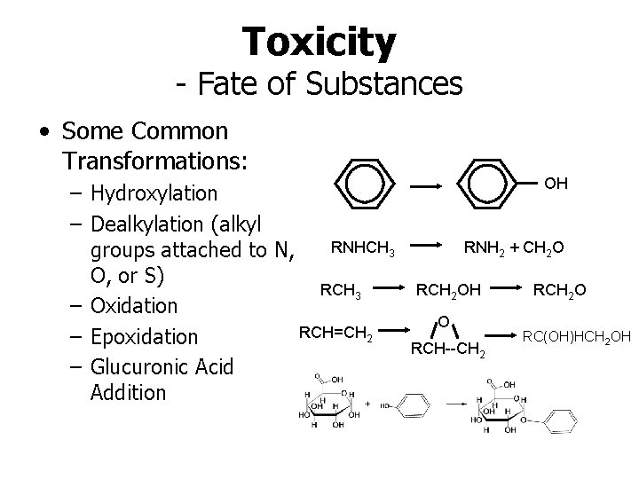 Toxicity - Fate of Substances • Some Common Transformations: – Hydroxylation – Dealkylation (alkyl
