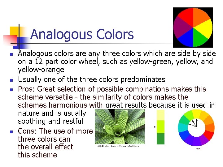 Analogous Colors n n Analogous colors are any three colors which are side by